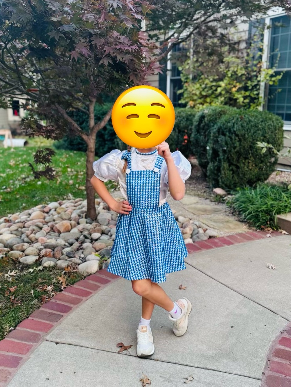 Wizard of Oz - Dorothy Costume